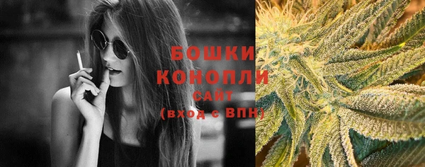 дурь Пересвет