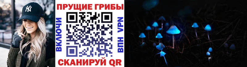 Псилоцибиновые грибы Magic Shrooms  Крым 